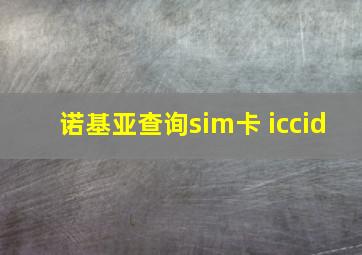 诺基亚查询sim卡 iccid